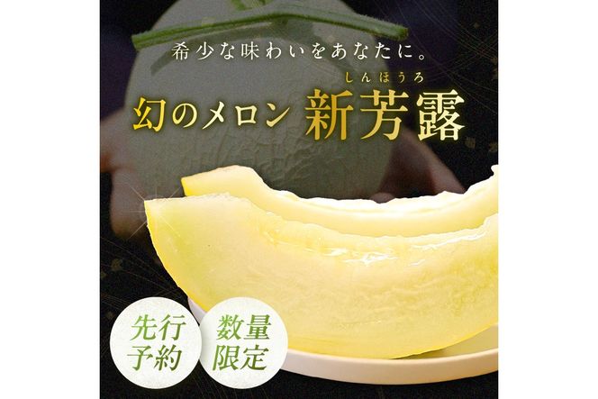 	【先行予約／数量限定200】幻のメロン 新芳露 1玉（2026年7月中旬～発送）　DE00152