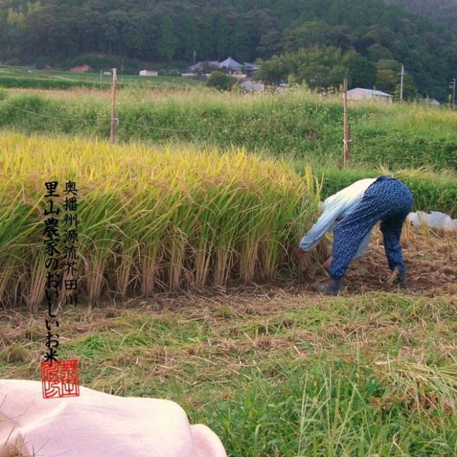 米 【令和8年産 予約受付】 ヒノヒカリ 5kg  精米 奥播州源流 芥田川産 芥田川 農家直送 5キロ 国産米 ひのひかり 贈り物 喜ばれる お米ギフト おいしいお米 お祝い 内祝い 贈答 美味しい おいしい 