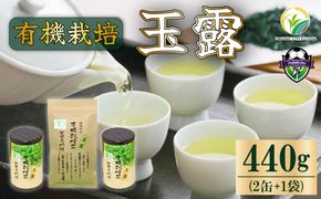お茶 玉露 計440g 国産 有機栽培 180g × 2缶 80g × 1袋 セット 有機 茶葉 オーガニック ティー 無農薬 日本 茶 飲料 健康 静岡 緑茶 プチ ギフト 贈答 薮崎園 静岡県 藤枝市