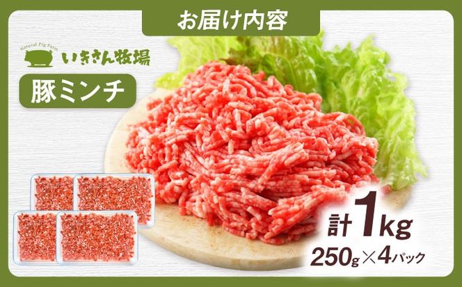 一貴山豚 ミンチ 計1kg(250g×4p) 糸島市 / いきさん牧場 豚肉 冷凍[AGB053] 豚肉 豚 ブランド豚 一貴山豚 ポーク ミンチ ひき肉 挽き肉 肉 250g