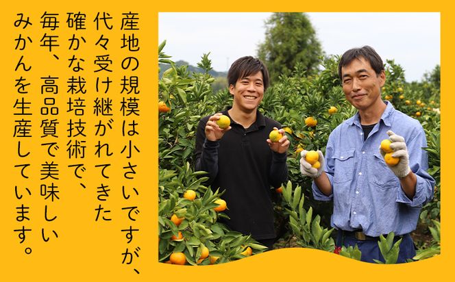 山北ポンカン 家庭用 3kg(約18～30個程度) - 果物 フルーツ 柑橘類 ぽんかん ミカン 蜜柑 訳アリ わけあり 生産者応援 甘い おいしい 美味しい 山北みらい yk-0068