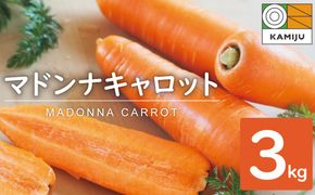 ＜フジテレビ『どっちのふるさと？』で紹介されました！＞ こどもも食べられる甘み！ジュースにしても美味しい！「マドンナキャロット」 3kg　H105-122