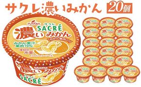 ◇期間限定◇サクレ濃いみかん 20個セット ｜ フタバ食品 アイス かき氷 デザート ※離島への配送不可