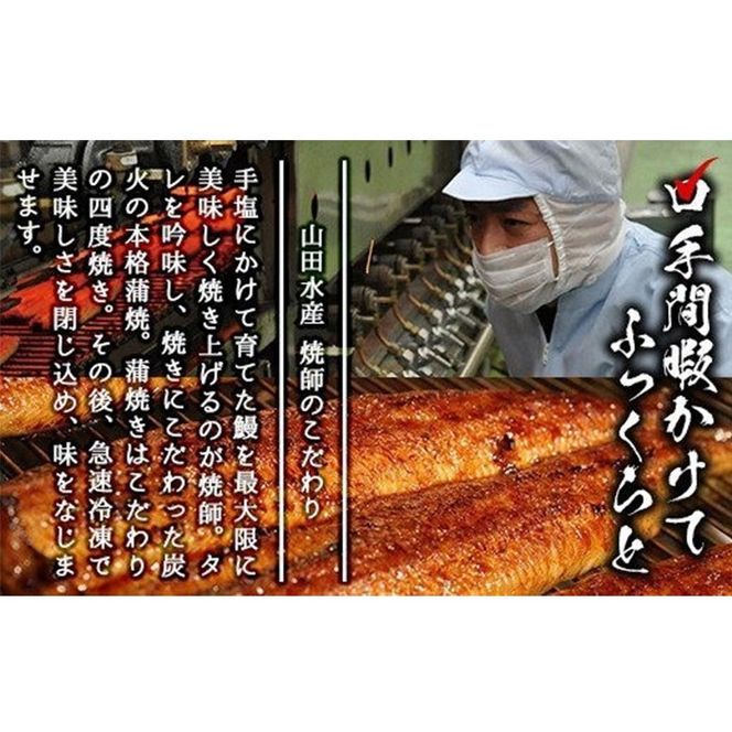 【数量限定】チンする♪霧島湧水鰻重セット 2食入 620g(蒲焼半身＋味付けご飯 [計310g×2食]) a1-049