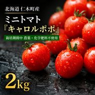 ミニトマト「キャロルポポ」2kg 栽培期間中 農薬・化学肥料不使用 北海道 仁木町 トマト ミニトマト 野菜 [自然農園]