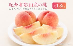 紀州和歌山産の桃　約1.8kg　化粧箱入 ※2027年6月下旬頃〜8月上旬頃順次発送（お届け日指定不可）【uot720-2】