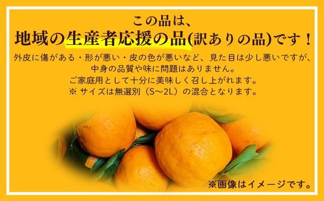 山北ポンカン 家庭用 3kg(約18～30個程度) - 果物 フルーツ 柑橘類 ぽんかん ミカン 蜜柑 訳アリ わけあり 生産者応援 甘い おいしい 美味しい 山北みらい yk-0068