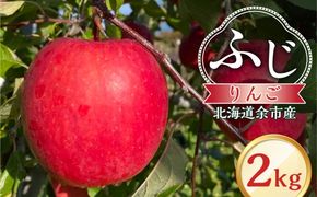 【先行予約：2026年12月上旬より発送】りんご（ふじ）2kg【北海道余市町産】_Y103-0077