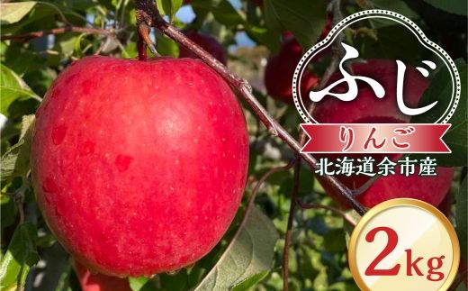 【先行予約：2026年12月上旬より発送】りんご（ふじ）2kg【北海道余市町産】_Y103-0077