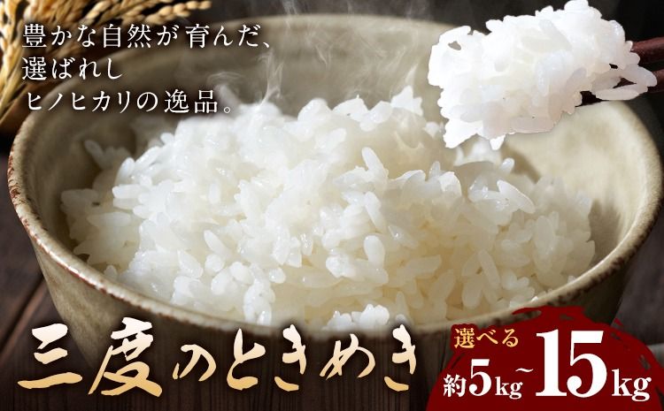 令和7年産 米 三度のときめき 5kg 10kg 15kg くまもと食彩の力[60日以内に出荷予定(土日祝除く)]熊本県 長洲町 お米 ひのひかり ヒノヒカリ こめ コメ---sn_kmst_60d_r7_16000_5kg---
