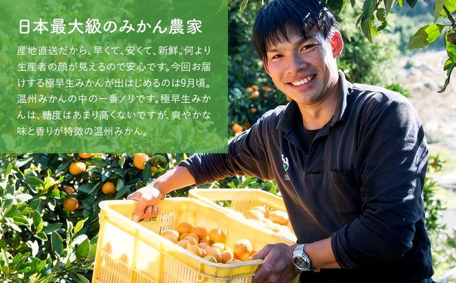 【先行予約】極早生みかん（生果）5kg（2026年9月中旬から発送予定） IKTF001