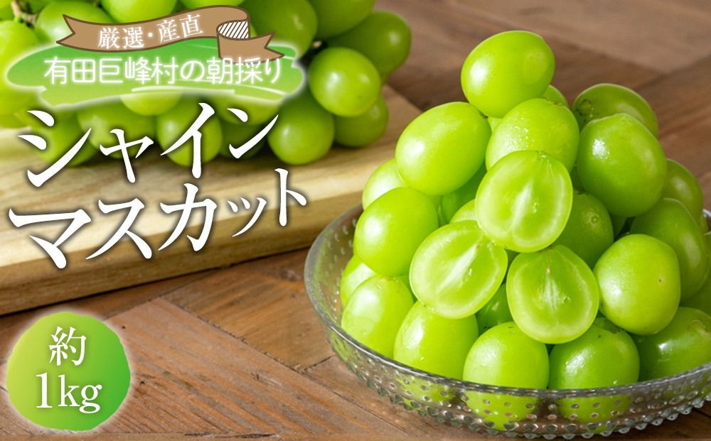 シャインマスカット 約1kg (2房〜3房) 有田巨峰村 [朝採 新鮮] 2025年発送 ※8月中旬頃から9月下旬頃まで順次発送予定