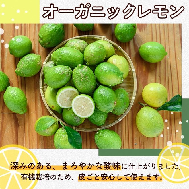 数量限定！有機JAS 訳ありオーガニックレモン(約5kg) 国産 訳あり レモン 檸檬 果実 果物 フルーツ 柑橘 デザート 期間限定 有機栽培 健康志向 【中村農場】akn084-02