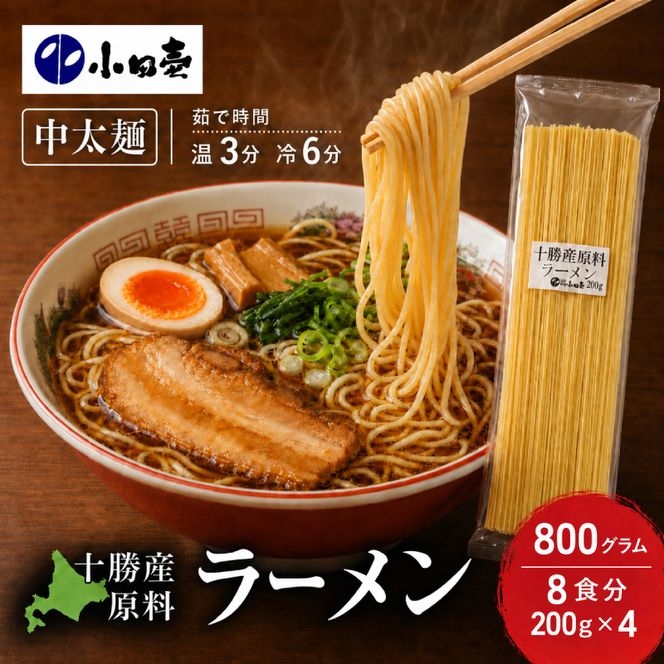 十勝産の原料にこだわったラーメン200g×4入(スープなし)［小田壱］【 乾麺 麺類 長期保存 コシ のどごし 家庭用 備蓄 ギフト 北海道 十勝 幕別 】