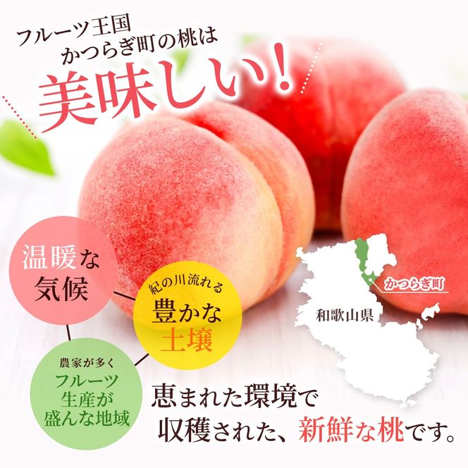 【予約受付】桃の王様 白鳳 <特秀品> 約2kg（6個~9個） 【2026年6月末頃～2026年7月末頃に順次発送予定】（お届け日指定不可）/ 桃 もも 白鳳 フルーツ 果物 くだもの 【kgr009A】