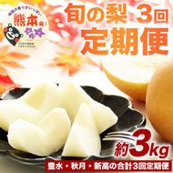定期便3回 梨 約3kg×3回 計約9kg 豊水 秋月 新高 8月～10月出荷【梨 なし 果物 フルーツ デザート 食後 熊本県産】※配送不可：離島