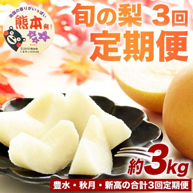 定期便3回 梨 約3kg×3回 計約9kg 豊水 秋月 新高 8月～10月出荷【梨 なし 果物 フルーツ デザート 食後 熊本県産】※配送不可：離島
