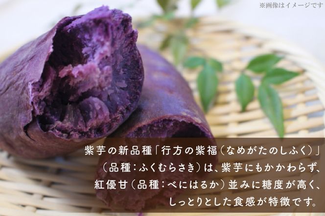 AE-66【行方かんしょ】『天皇杯受賞』　JA産　「冷凍焼き芋」（紅優甘・行方の紫福1本入　各5袋