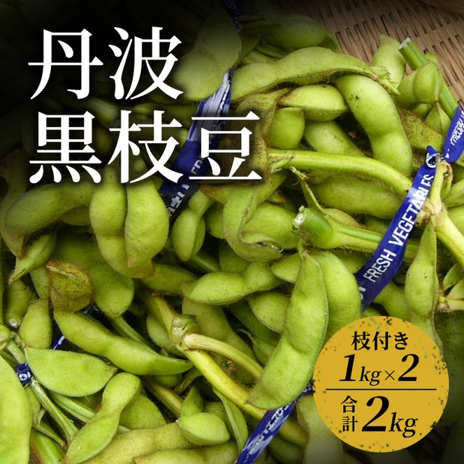 丹波黒枝豆　1kg（枝付き）×2 | 野菜 えだまめ えだ豆 おつまみ 京都府 南丹市