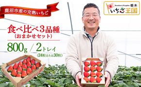 【先行予約/数量限定】【贅沢いちごセット】完熟いちご食べ比べ3品種（24粒または30粒）おまかせセット2トレイ800g | 栃木県 鹿沼市 産地直送 旬 いちご こだわり 高級品 贈答用 イチゴ 苺 果物 フルーツ 期間限定 ※2026年12月～発送