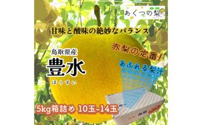 豊水梨 5kg箱詰め(鳥取県佐治町産) [あくつの梨] 312011_FX002