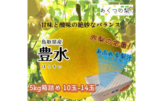 豊水梨 5kg箱詰め(鳥取県佐治町産) [あくつの梨] 312011_FX002