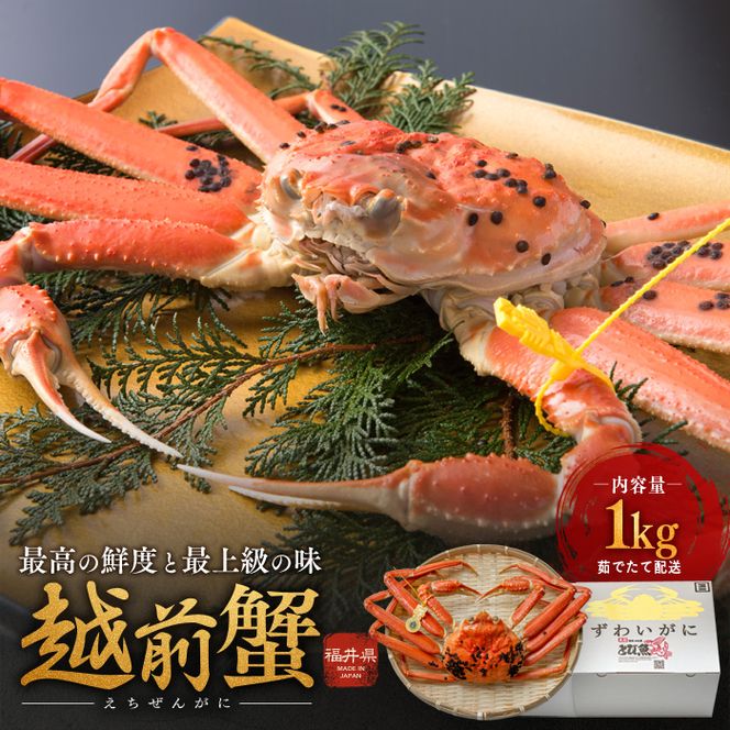 期間限定 茹で 越前ガニ 約1kg 1杯  茹でガニ 越前カニ 越前蟹 ズワイガニ ずわい蟹 カニ かに 蟹 ボイルカニ ボイル蟹 ポーション 魚介 魚介類 海鮮 限定 福井 福井県 若狭町
