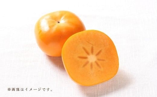 福岡ブランド！ 森部の秋王 セミドライフルーツ 5個セット 自社農園 柿 かき カキ 秋王 セミドライ 