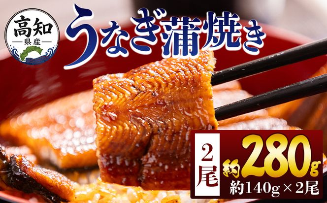 うなぎ 高知県産蒲焼きうなぎ 約１４０ｇ ２尾 計約２８０ｇ fb-0144