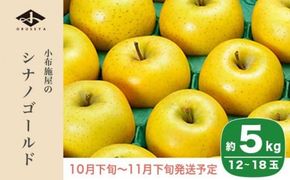 シナノゴールド 約5kg 12～18玉 ［小布施屋］ りんご 林檎 リンゴ 果物 フルーツ 令和7年産【2025年10月下旬～11月下旬発送】 ［A-10］