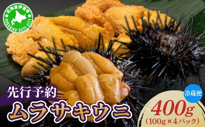 ＜先行予約＞ 北海道産 ムラサキウニ（正規品）400g【ogm-033】生うに 塩水うに ミョウバン不使用 海鮮 国産 北海道 伊達 ふるさと納税