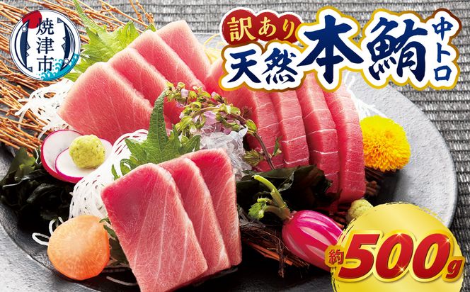 a14-150　訳あり　本マグロ 天然 中トロ 500g