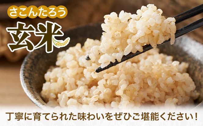 玄米 5kg 10kg さこんたろう《90日以内に発送予定(土日祝除く)》熊本県 御船町 コメ おこめ ごはん 熊本県産---mifune_skt_2_5kg---