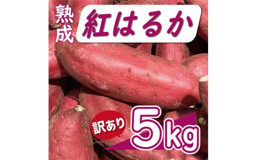 訳あり 熟成 紅はるか 5kg サイズ混合 サツマイモ 焼き芋 干し芋 丸干し 冷凍焼き芋 冷やし焼き芋 やきいも 蜜芋 ほしいも スイートポテト フライドポテト いも天 サイズミックス  甘い ねっとり しっとり ほくほく 生芋 新芋 芋 いも 甘藷 べにはるか スイーツ おかず さつまいも 国産 人気 糖度 産地直送 農家直送 数量限定 7000円 愛媛県 愛南町 ミッチーのおみかん畑