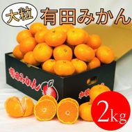 大粒有田みかん 2kg (約14個～16個) DJ042