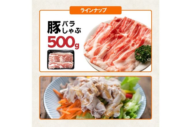 豚肉 詰め合わせ 宮崎県産豚肉 バラエティ セット 4種 3kg [南九フーズ 宮崎県 日向市 452061517] バラ 切り落とし しゃぶしゃぶ ロース スライス 豚こま 小間切れ ミンチ ひき肉