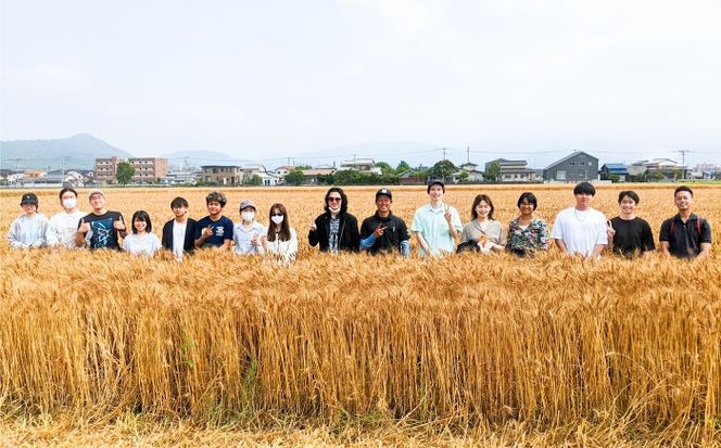 【令和7年産】 にこまる 玄米品質1等米 白米 5kg 糸島市産 糸島市 / 糸島の恵み コメ こめ ご飯[AGR001]