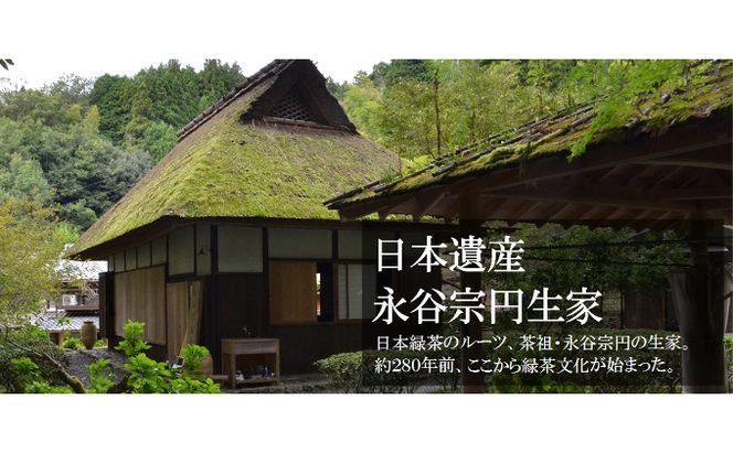 一級煎茶　宗圓80g×6本〈煎茶 緑茶 お茶 茶 茶葉 加工食品〉 