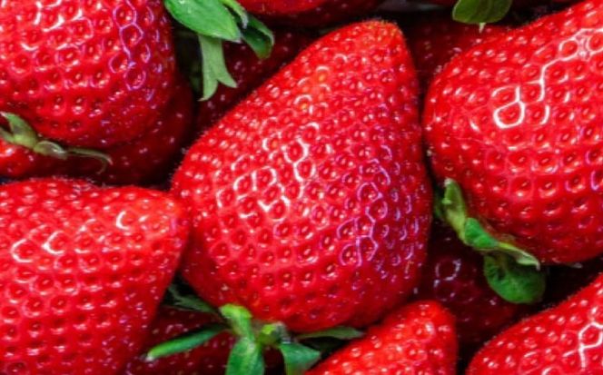 【全3回定期便】福岡県 糸島市産 完熟 あまおう いちご （約270g×6パック） 【2026年4月以降順次発送】 糸島市 / mhshops / 苺 イチゴ[AKQ006]