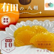 【ふるさと納税】【先行予約】 八朔 10kg 家庭用 サイズ混合 柑橘 フルーツ はっさく 産地直送 お取り寄せ 送料無料 	FA11