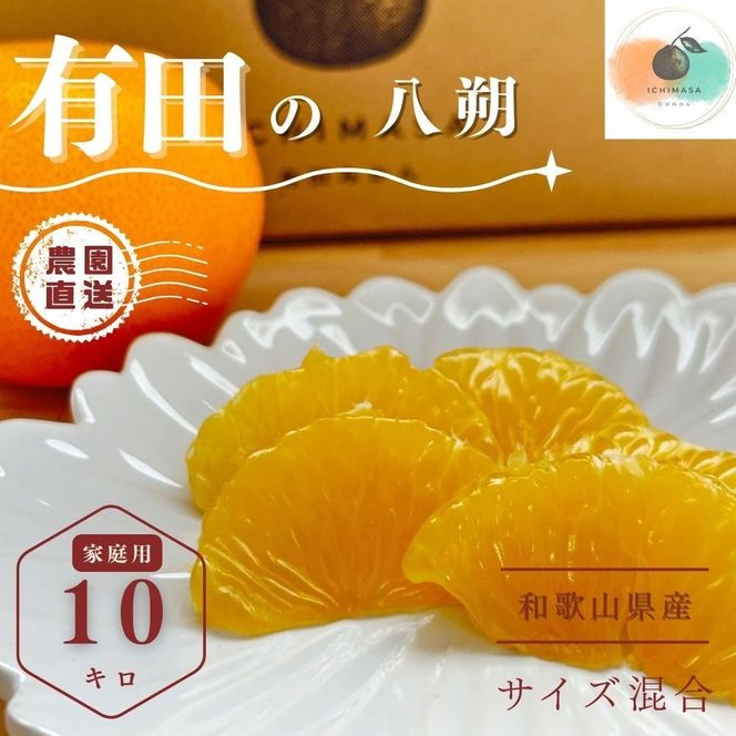 ya̎RLc쒬zyӂ邳Ɣ[Łzys\z  10kg ƒp TCY k t[c ͂ Yn    FA11