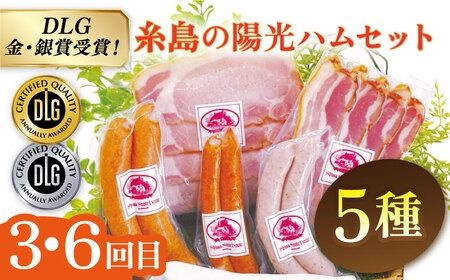 【全6回定期便】 ウインナー / ハンバーグ / ハム 月替り セット 糸島市 / 志摩スモークハウス 生ハム ベーコン [AOA039] 定期便 生 ウインナー ソーセージ ハンバーグ お肉