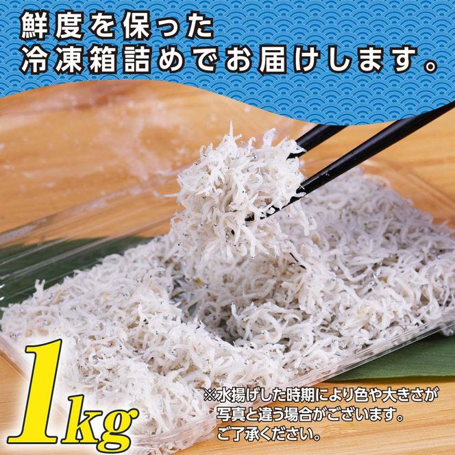 MMK009　訳あり 釜揚げしらす 1kg しらす シラス 釜揚げ 新鮮 塩分控えめ 赤ちゃん 子供 離乳食 わけあり ワケあり 不揃い しらす丼 海鮮丼 お茶漬け ごはん 冷凍配送 海鮮