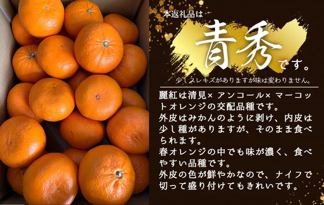 BF6063_【2027年先行受付】麗紅柑 (れいこう) 青秀品 (家庭用) 2S～3Lサイズ 3kg 和歌山有田産