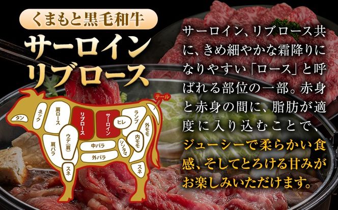 くまもと黒毛和牛 サーロイン リブロース ローススライス 600g 牛肉 冷凍 《90日以内に出荷予定(土日祝除く)》くまもと黒毛和牛 黒毛和牛 スライス 肉 お肉 しゃぶしゃぶ肉 すきやき肉 すき焼き　玉東町---gkt_fkkrgsrr_90d_24_18000_600g---