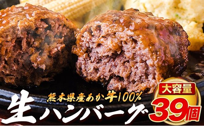 熊本県産 あか牛 100% 生ハンバーグ 140g×39個入り 合計5460g 5.46kg以上 《30日以内に出荷予定(土日祝除く)》熊本県産あか牛  冷凍 ハンバーグ---ng_faknha3_30d_r8_33500_5460g---