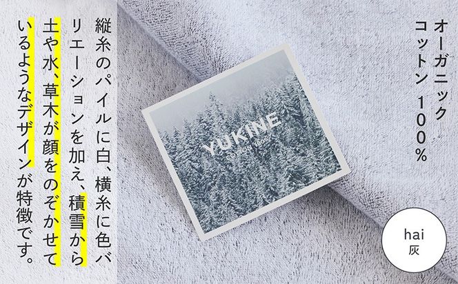 020C513-1 SHINTO TOWEL「ユキネ・バスマット＆バスタオル」hai（灰）【オーガニックコットン100% 国産 吸水 普段使い シンプル 日用品 家族 ファミリー】