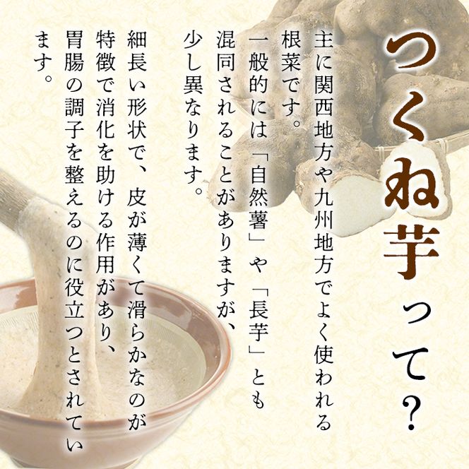 ＜先行予約受付中！2026年11月中旬以降順次発送予定＞つくね芋(大薯)(約5kg) 鹿児島県 阿久根市 つくね芋 大薯 だいじょ大和芋 山芋 とろろ【松永青果】akn053-12