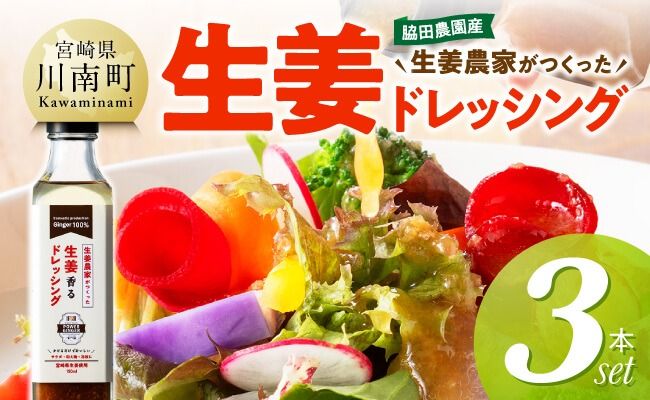 脇田農園産 生姜農家が作った生姜ドレッシング3本セット [ 生姜 ショウガ 国産 宮崎県産 九州産 川南町産 農家直送 しょうが ドレッシング ] [C07001]