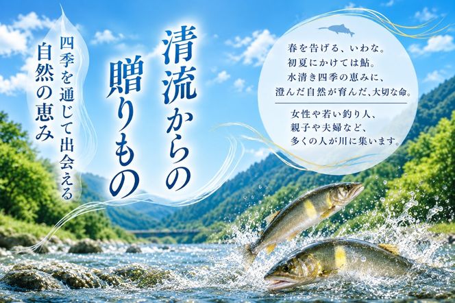 【一般（女性） あゆ＆渓流魚 年間遊漁証引換券（令和8年シーズン用）】| 根尾川 釣り あゆ 鮎 あゆ釣り 鮎釣り 年間遊漁証引換券 年券 チケット 引換券 根尾川筋漁業協同組